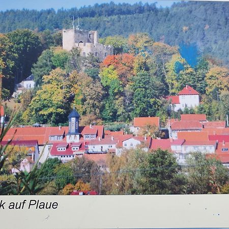 Ferienwohnung Burgblick Plaue  外观 照片