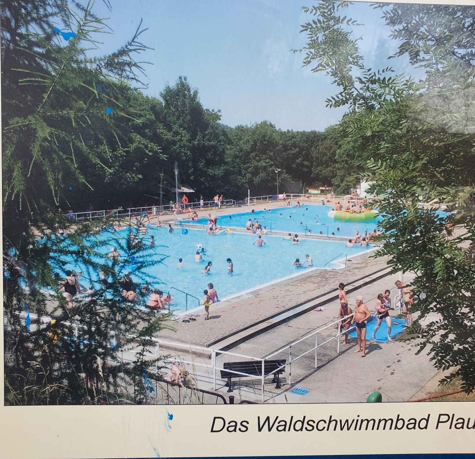 Ferienwohnung Burgblick Plaue  外观 照片